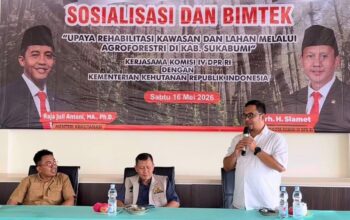Kemenhut RI dan DPR RI Dorong Percepatan Rehabilitasi Hutan dan Lahan di Sukabumi